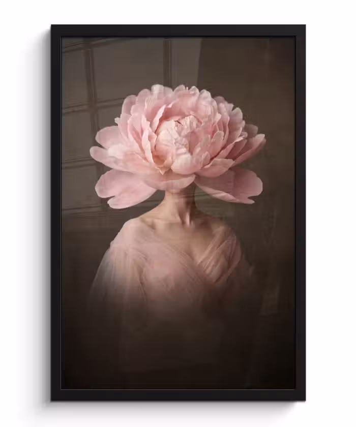 Bilder mit Rahmen - Gesicht - Rose - Rosa