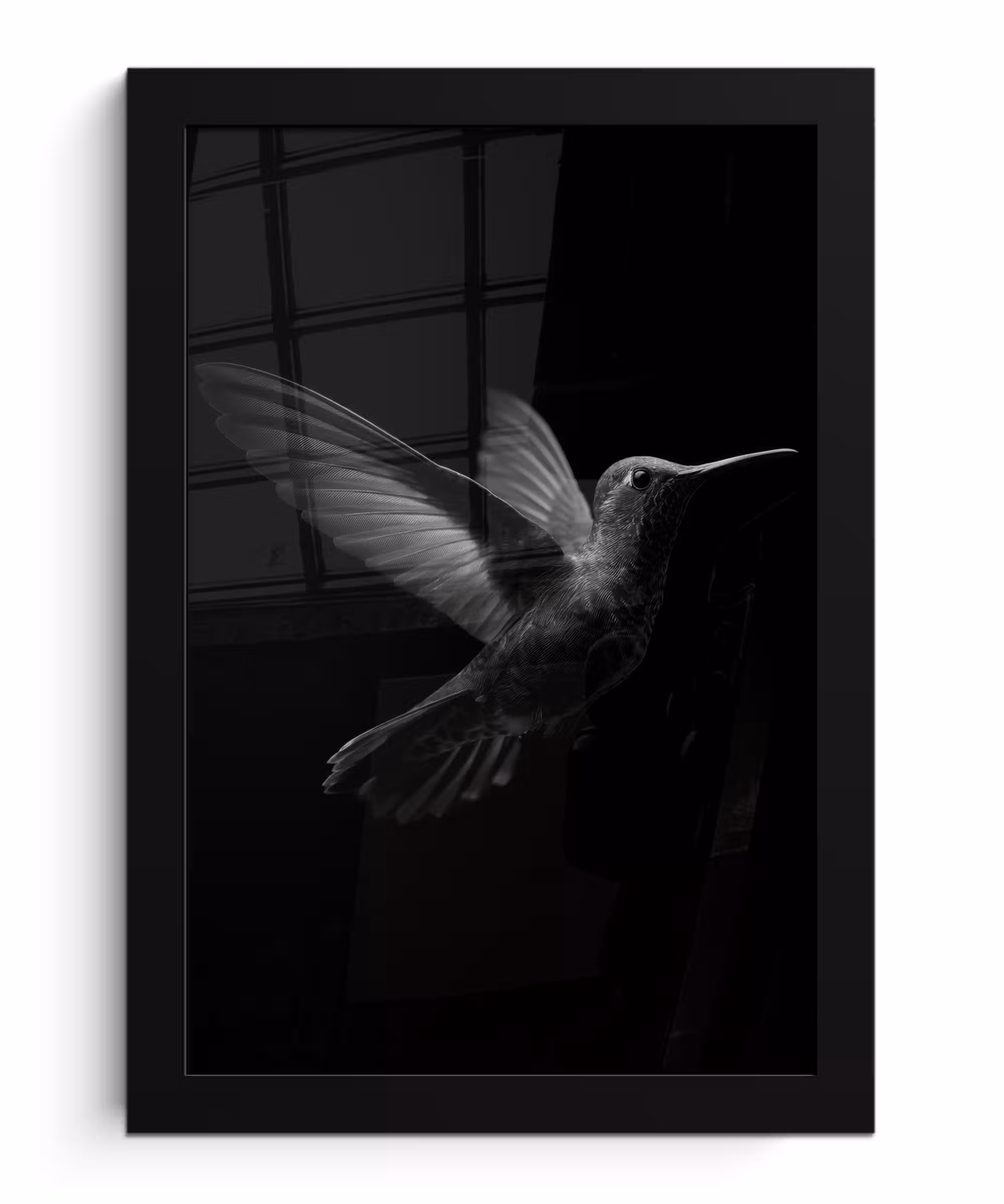 Bilder mit Rahmen - Kolibri - Schwarz - Tiere