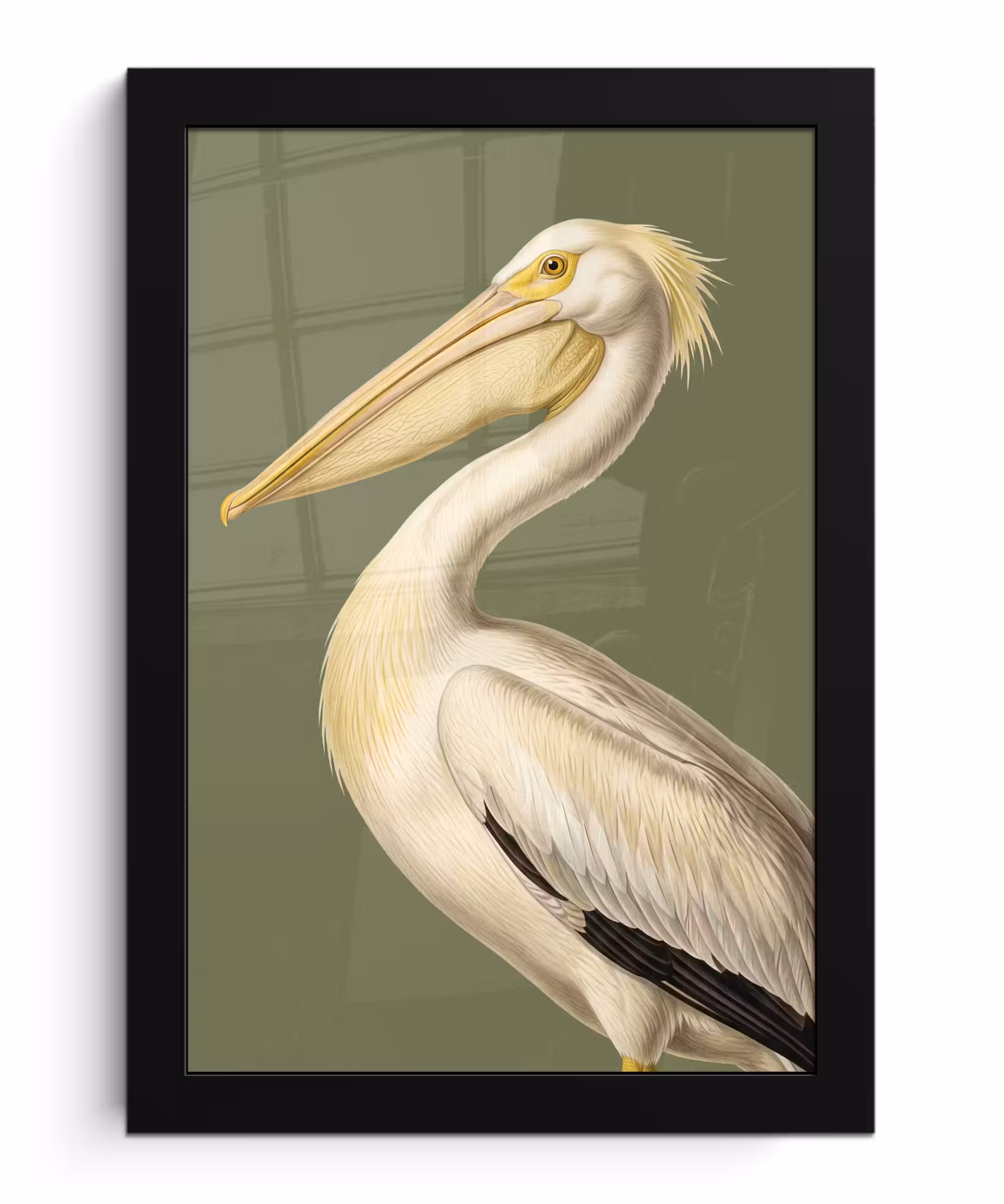 Bilder mit Rahmen - Pelikan - Weiß - Vogel - Klassisch - Natur
