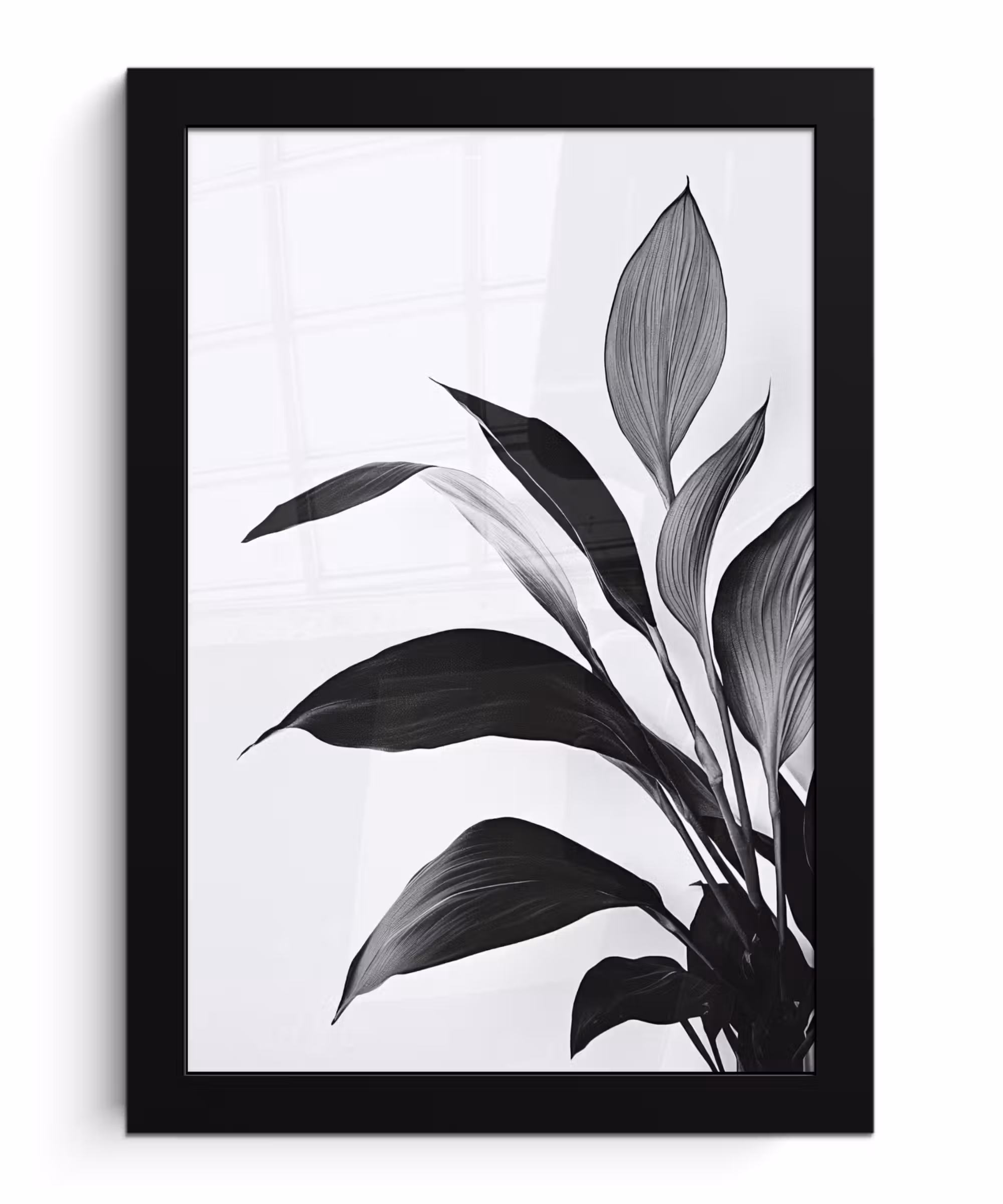 Bilder mit Rahmen - Pflanze - Blätter - Minimalistisch - Schwarz