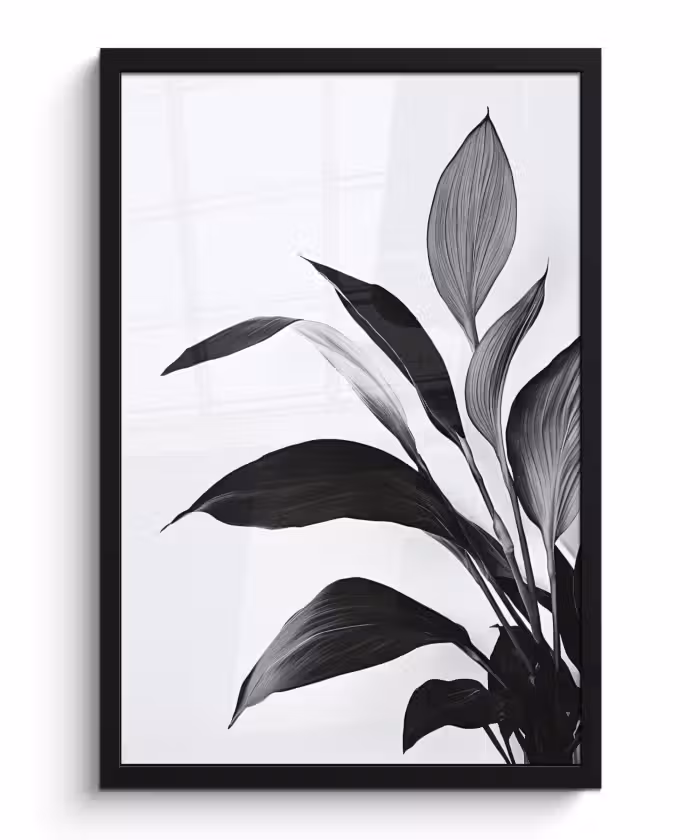 Bilder mit Rahmen - Pflanze - Blätter - Minimalistisch - Schwarz