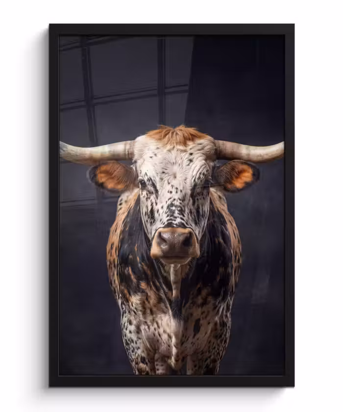 Bilder mit Rahmen - Taurus - Farbenfroh - Hörner
