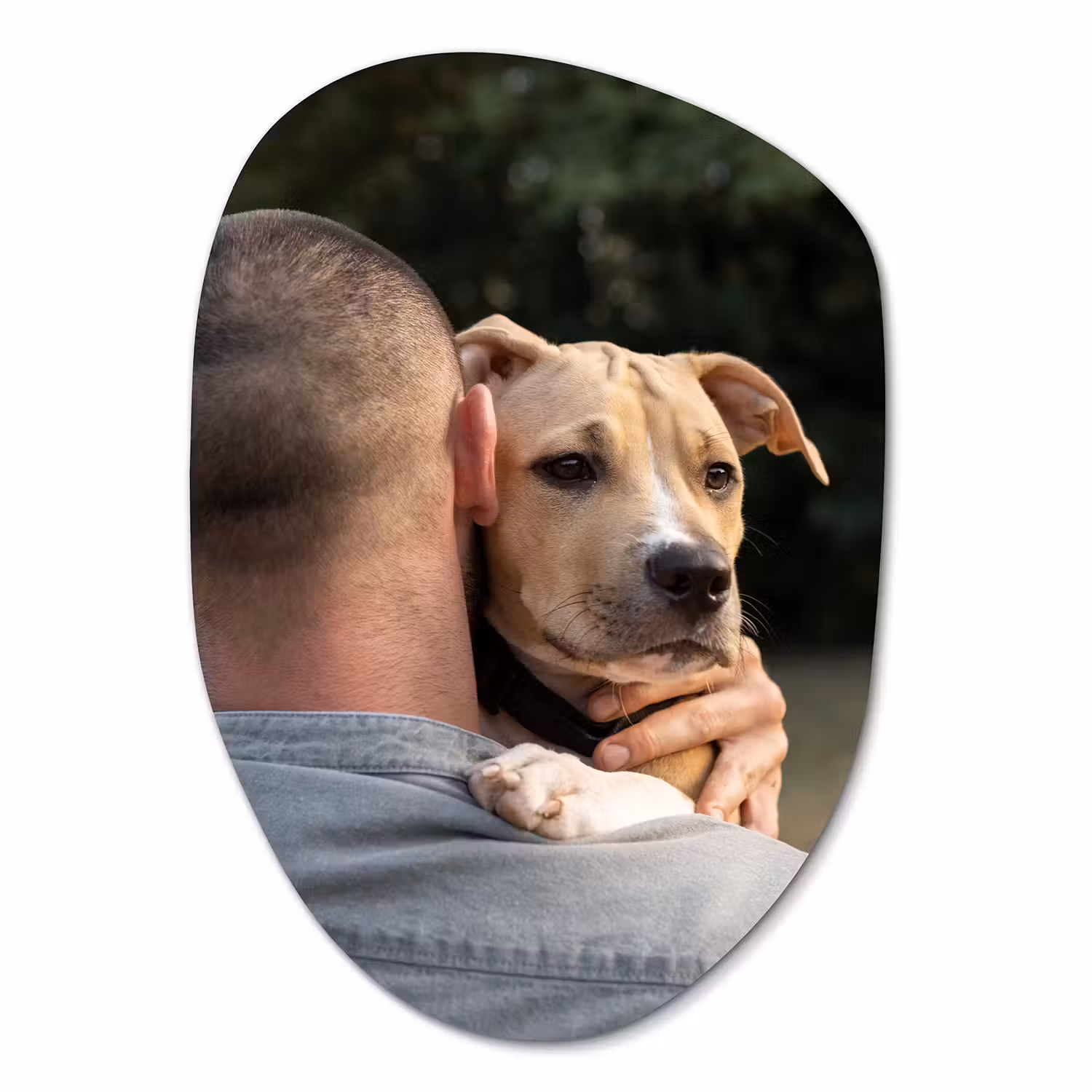 Foto auf alu dibond organische Form 4