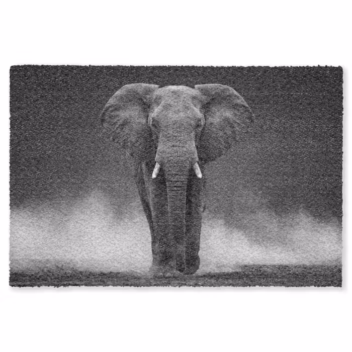 Fußmatte - Elefant - Schwarz - Weiß - Rauch
