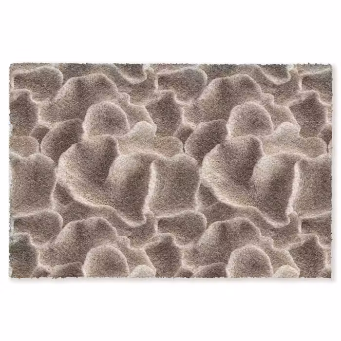 Fußmatte - Fächerform - Beige - Faserstruktur