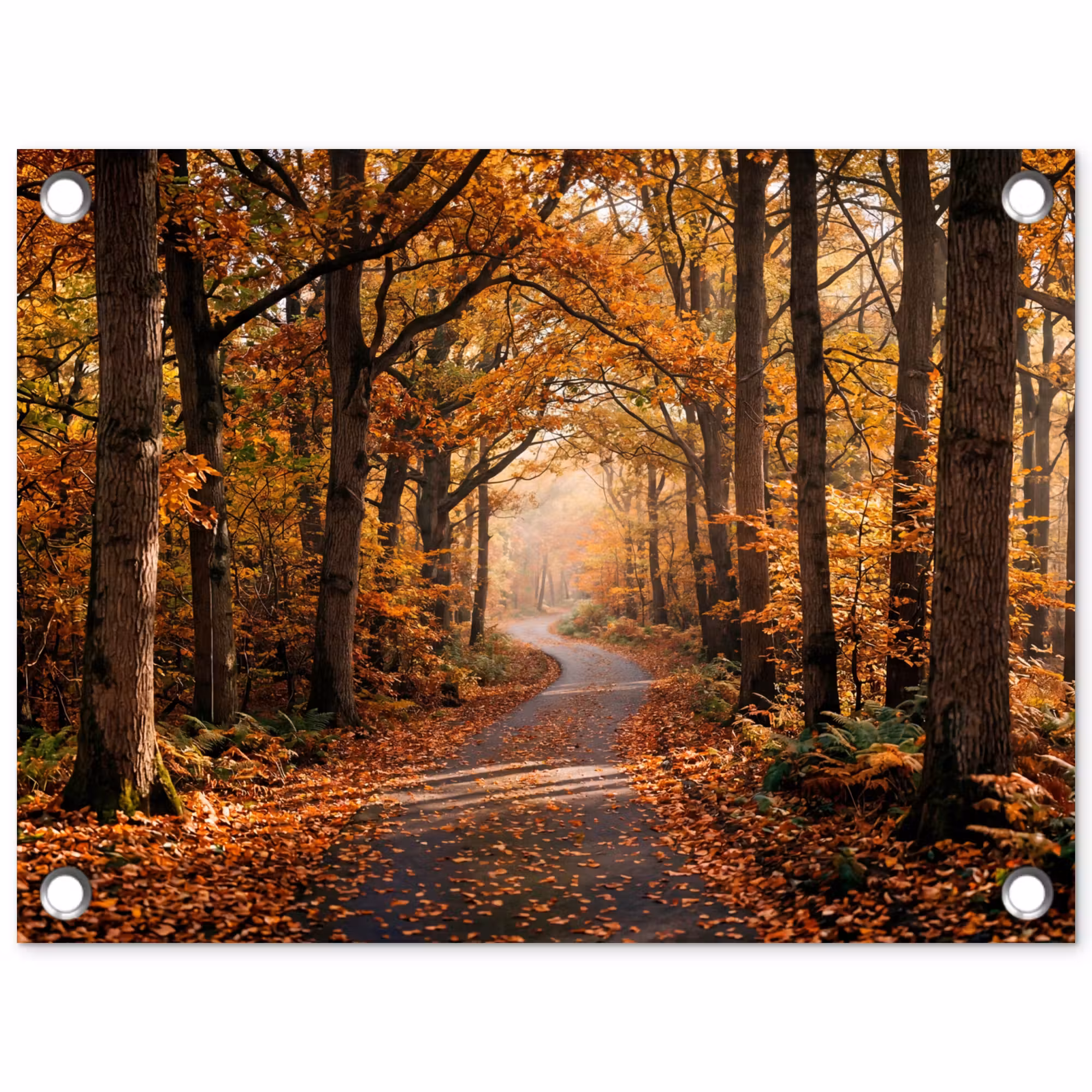 Gartenposter - Waldweg - Herbstwald - Blätter - Orange - Nostalgisch