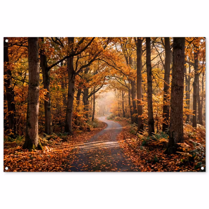 Gartenposter - Waldweg - Herbstwald - Blätter - Orange - Nostalgisch