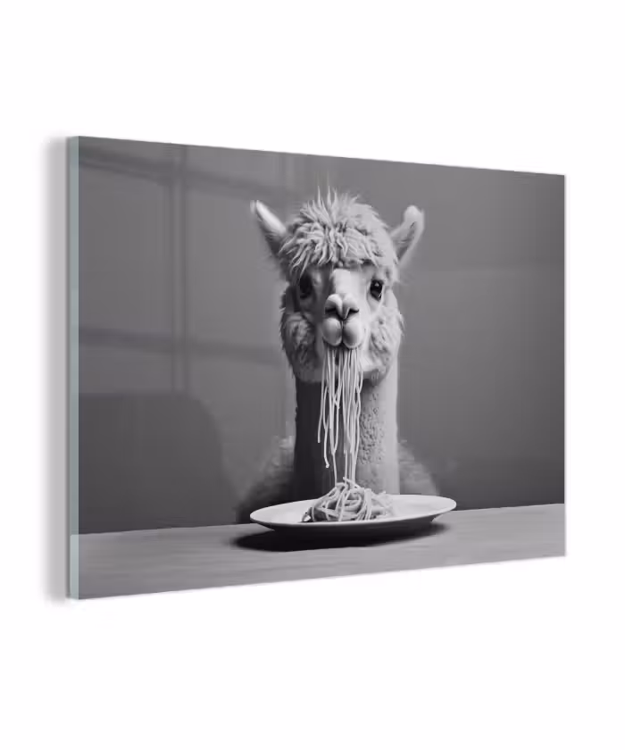Glasbild - Alpaka - Nudeln - Schwarz - Weiß - Lustig - Tiere