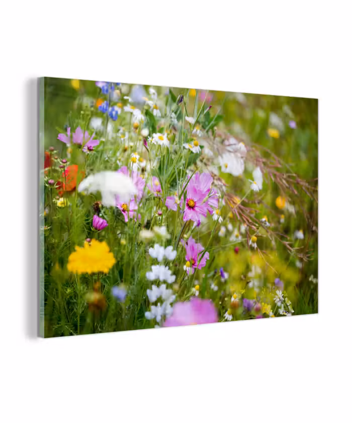 Glasbild - Blumen - Natur - Grün - Gras - Lila - Weiß