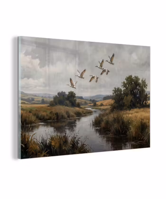 Glasbild - Enten - Fluss - Landschaft - Flug - Nostalgisch