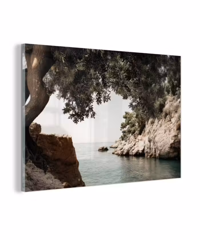 Glasbild - Felsen - Meer - Baum - Grün