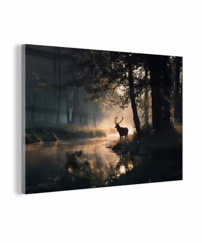 Glasbild - Hirsche - Waldbach - Mystisch