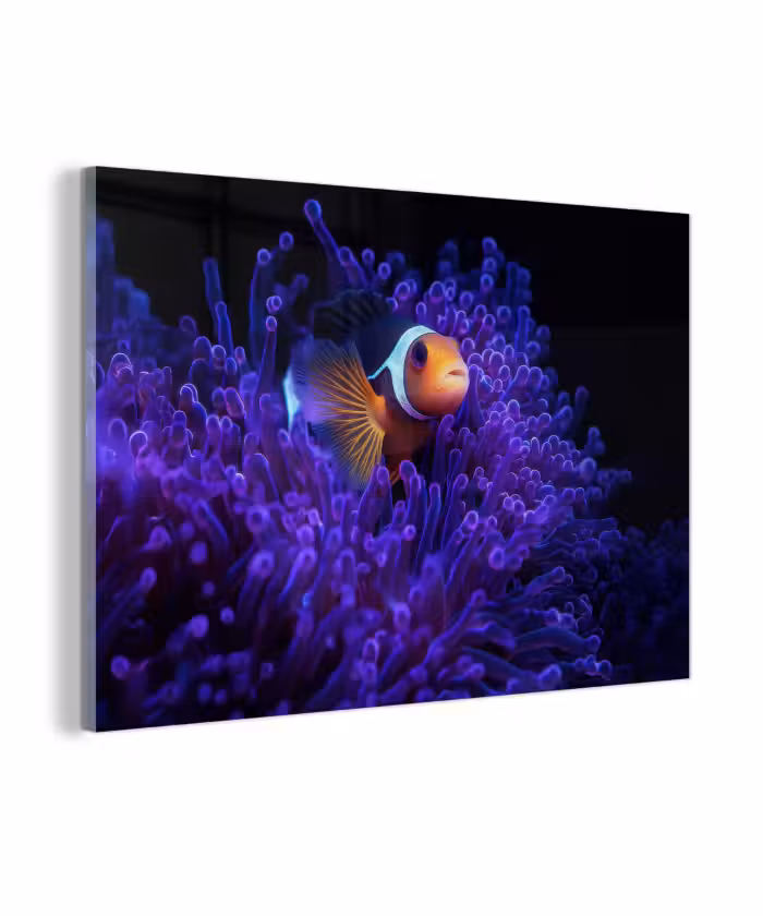 Glasbild - Koralle - Fisch - Orange - Meer