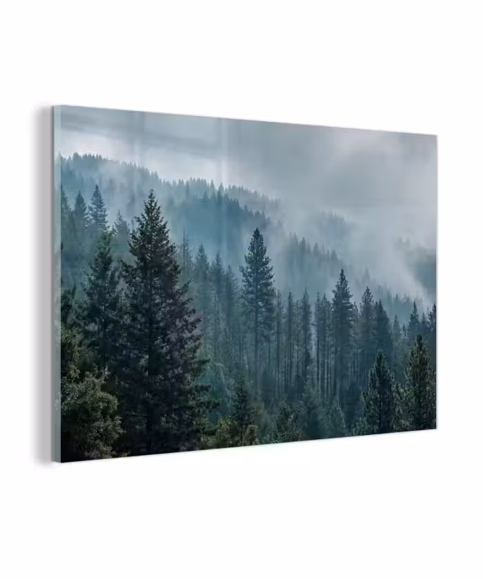 Glasbild - Nadelwald – Berge – Nebel