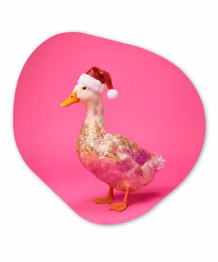 Glasbild Organische Form - Vogel – Weihnachten – Rosa