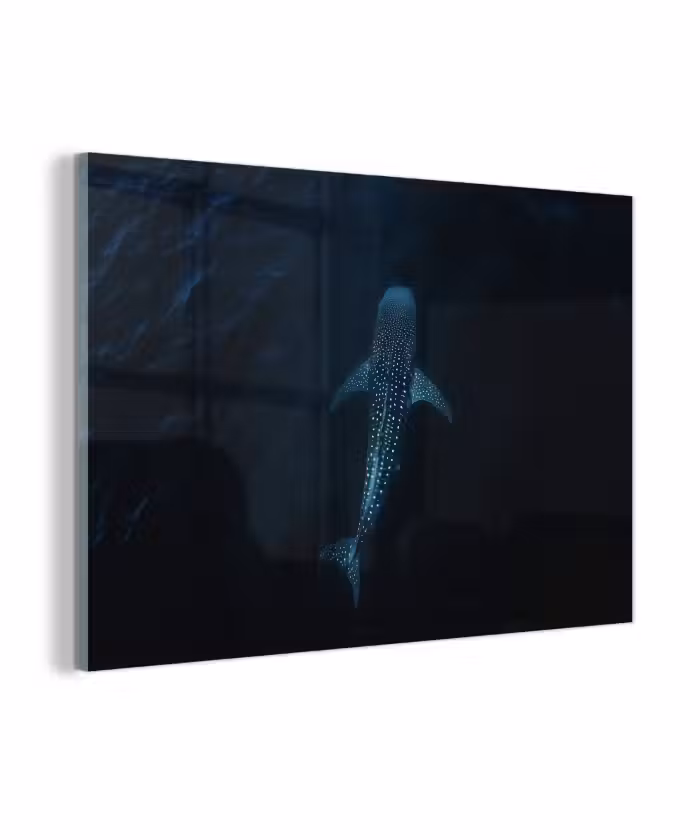 Glasbild - Ozean - Walhai - Dunkelblau - Flecken