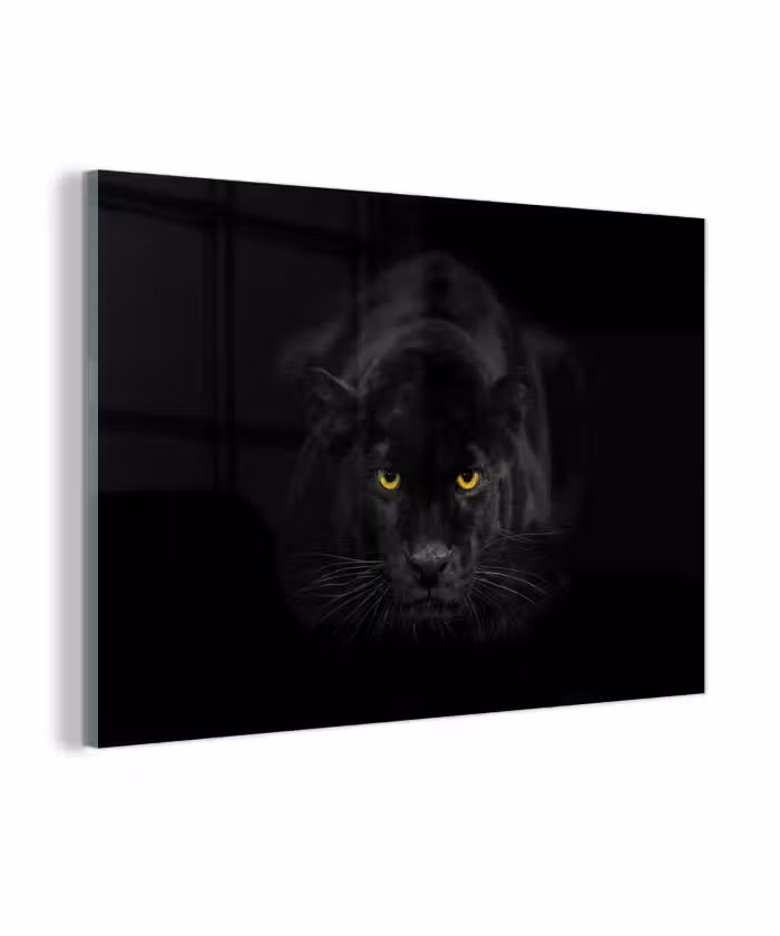 Glasbild - Panther - Tiere - Schwarz - Augen