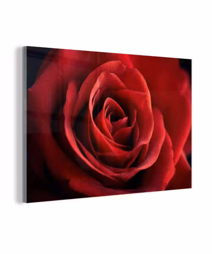 Glasbild - Rot - Rose - Romantisch