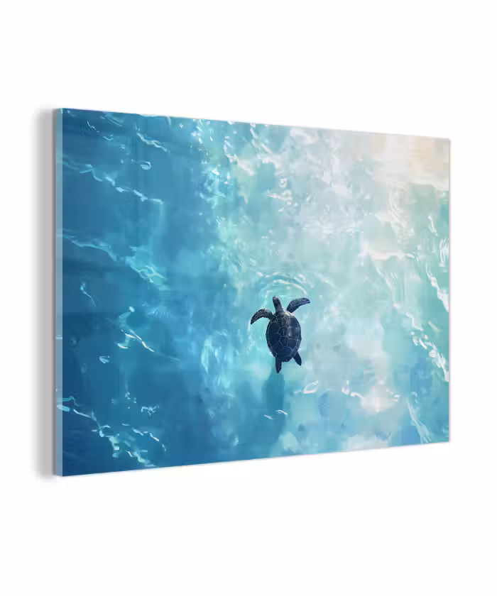 Glasbild - Schildkröte - Meer - Blau - Glitzern