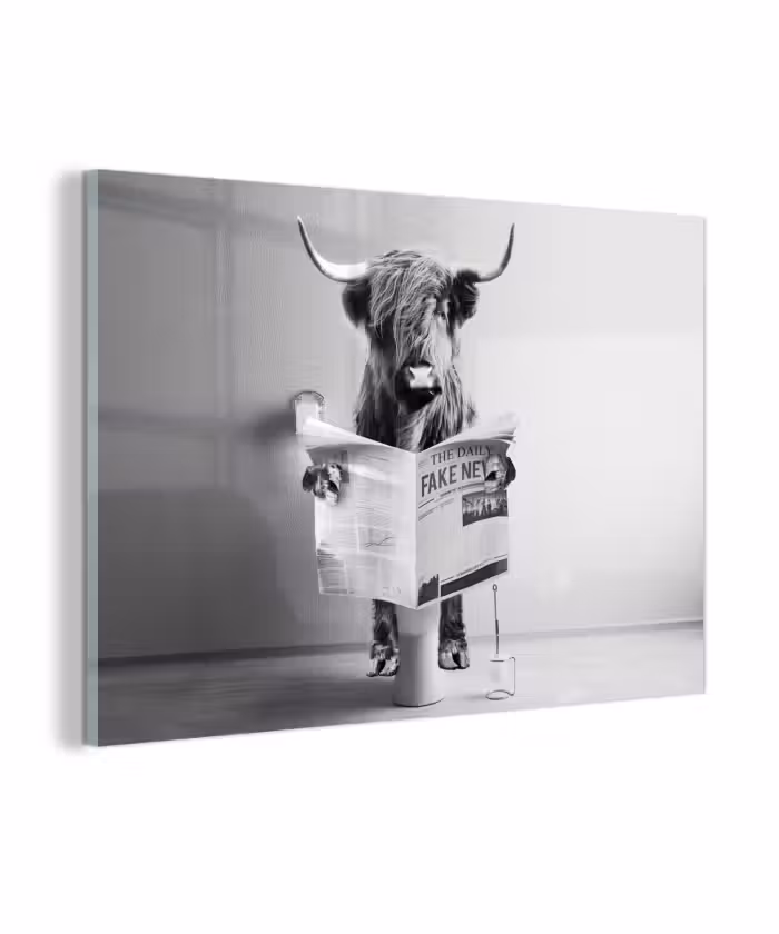 Glasbild - WC - Toilette - Zeitung - Schottischer Highlander - Schwarz und Weiß