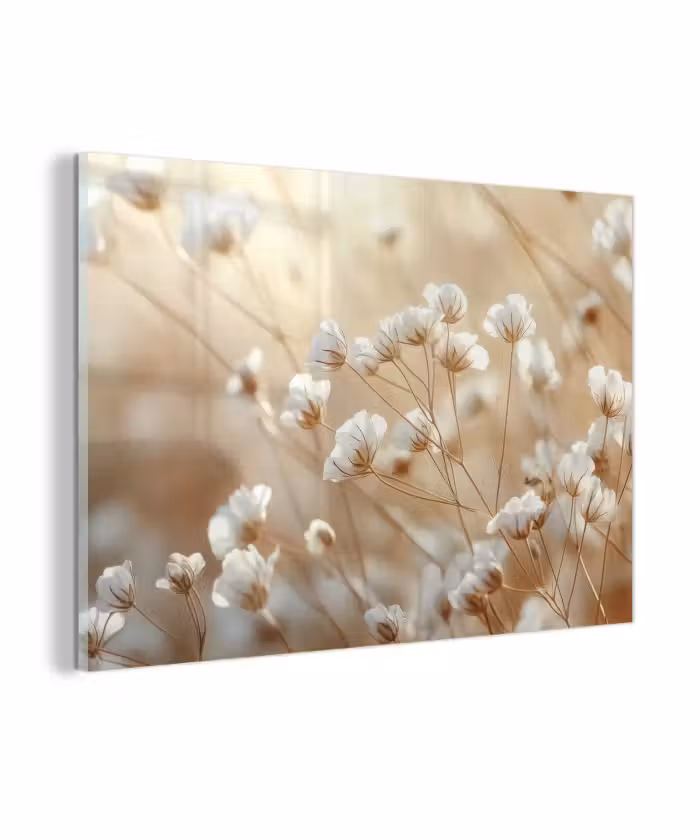 Glasbild - Wild - Blumen - Weiß