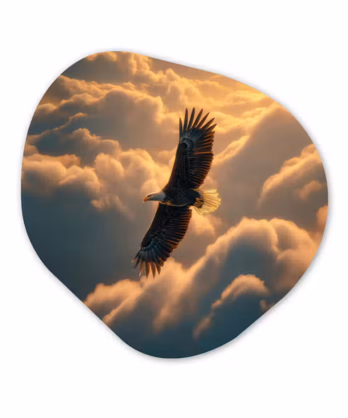 Forexbild Organische Form - Adler - Wolken - Sonne
