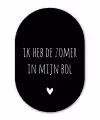 Ik heb de zomer in mijn bol - Quotes - Spreuken - André Hazes Wandcirkel Ovaal Forex klein -3d