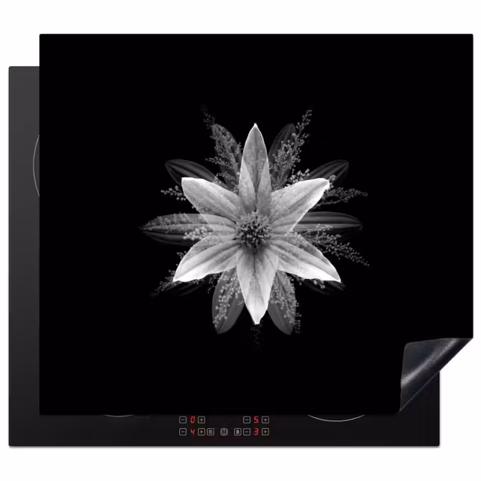 Herdabdeckplatte - Blume - Schwarz - Weiß