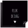 Carpe diem - Spreuken - Pluk de dag - Quotes Inductie beschermer vinyl 3mm middel -3d