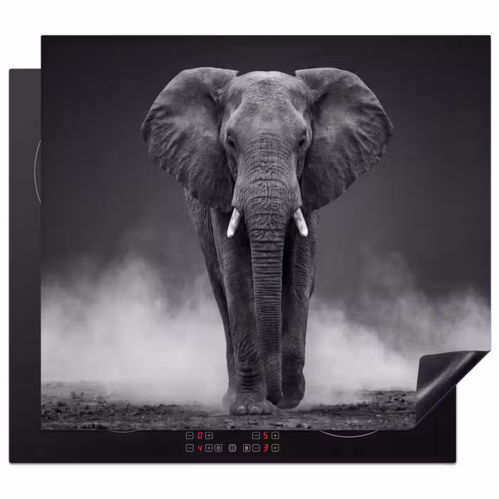 Herdabdeckplatte - Elefant - Schwarz - Weiß - Rauch