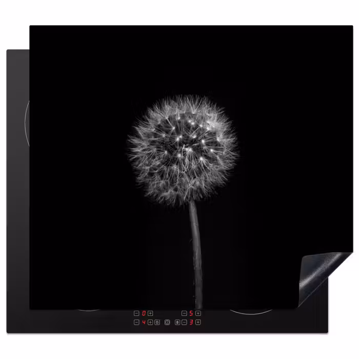 Herdabdeckplatte - Löwenzahn - Schwarz - Floral - Botanisch