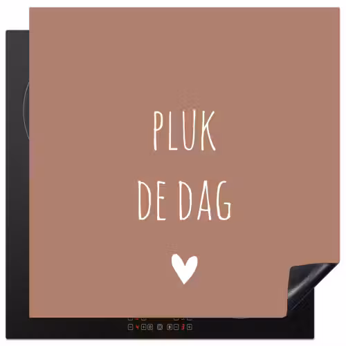 Quotes - Carpe diem - Pluk de dag - Spreuken Inductie beschermer vinyl 3mm middel -3d