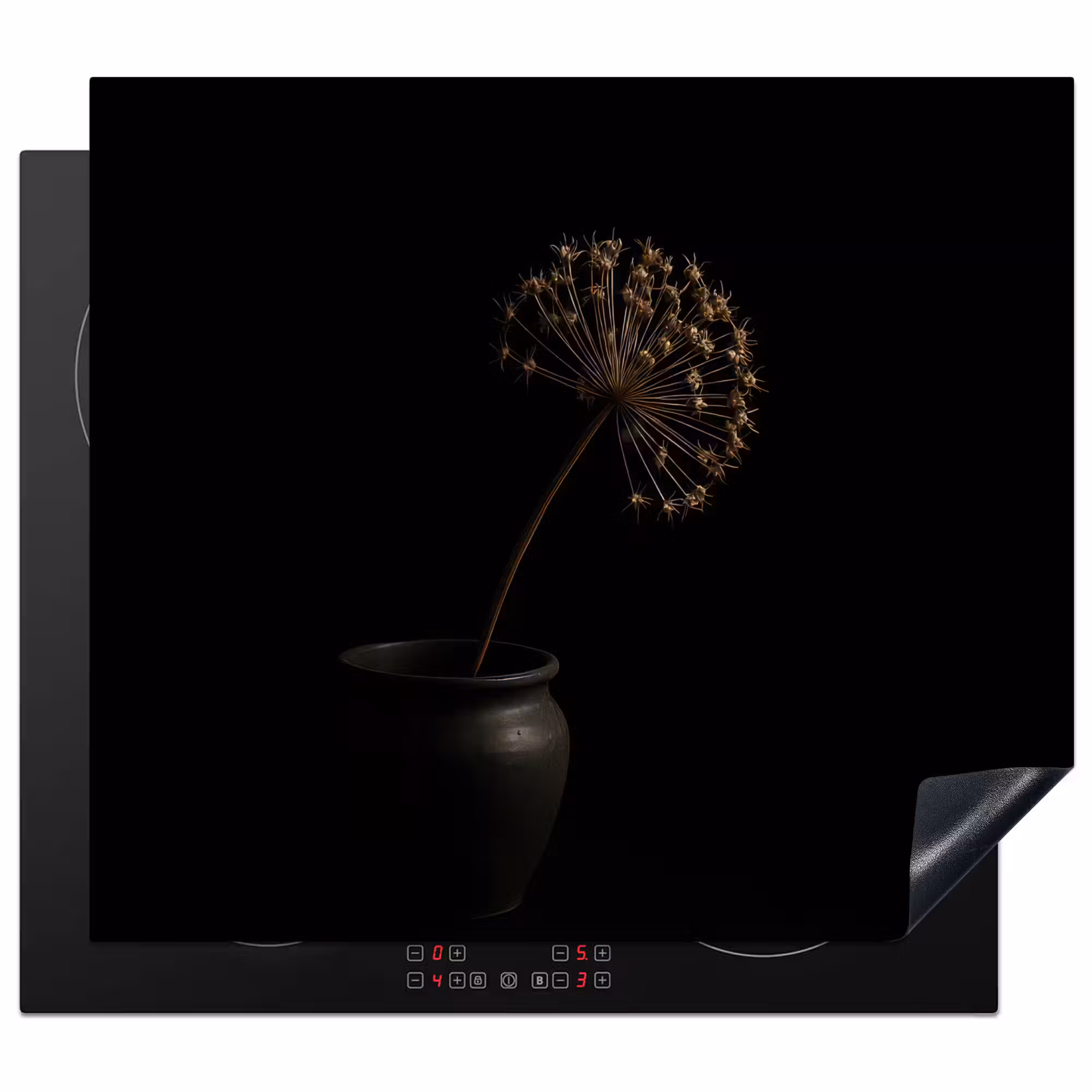 Herdabdeckplatte - Zwiebel - Getrocknet - Vase - Schwarz