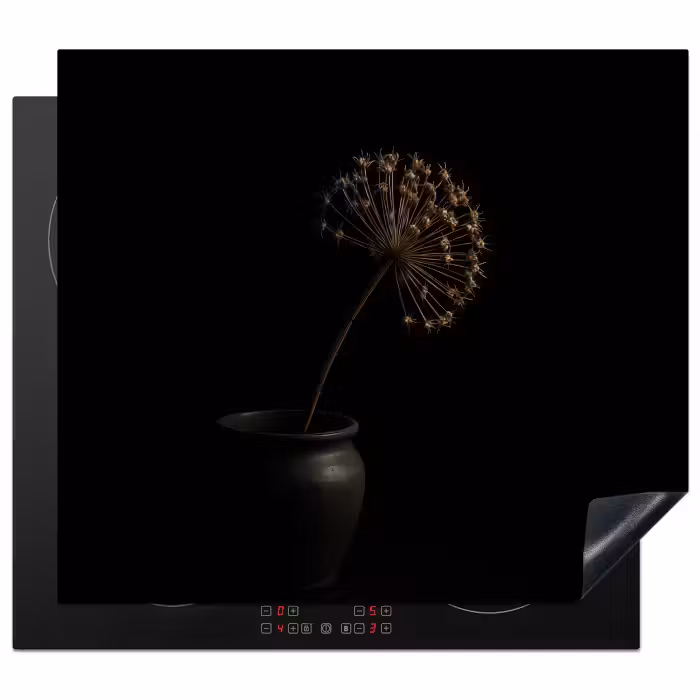 Herdabdeckplatte - Zwiebel - Getrocknet - Vase - Schwarz