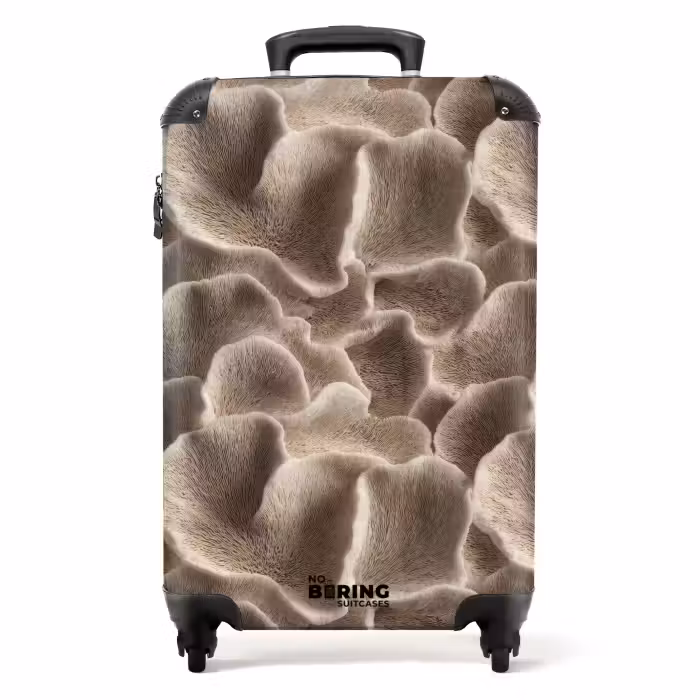 Koffer - Fächerform - Beige - Faserstruktur