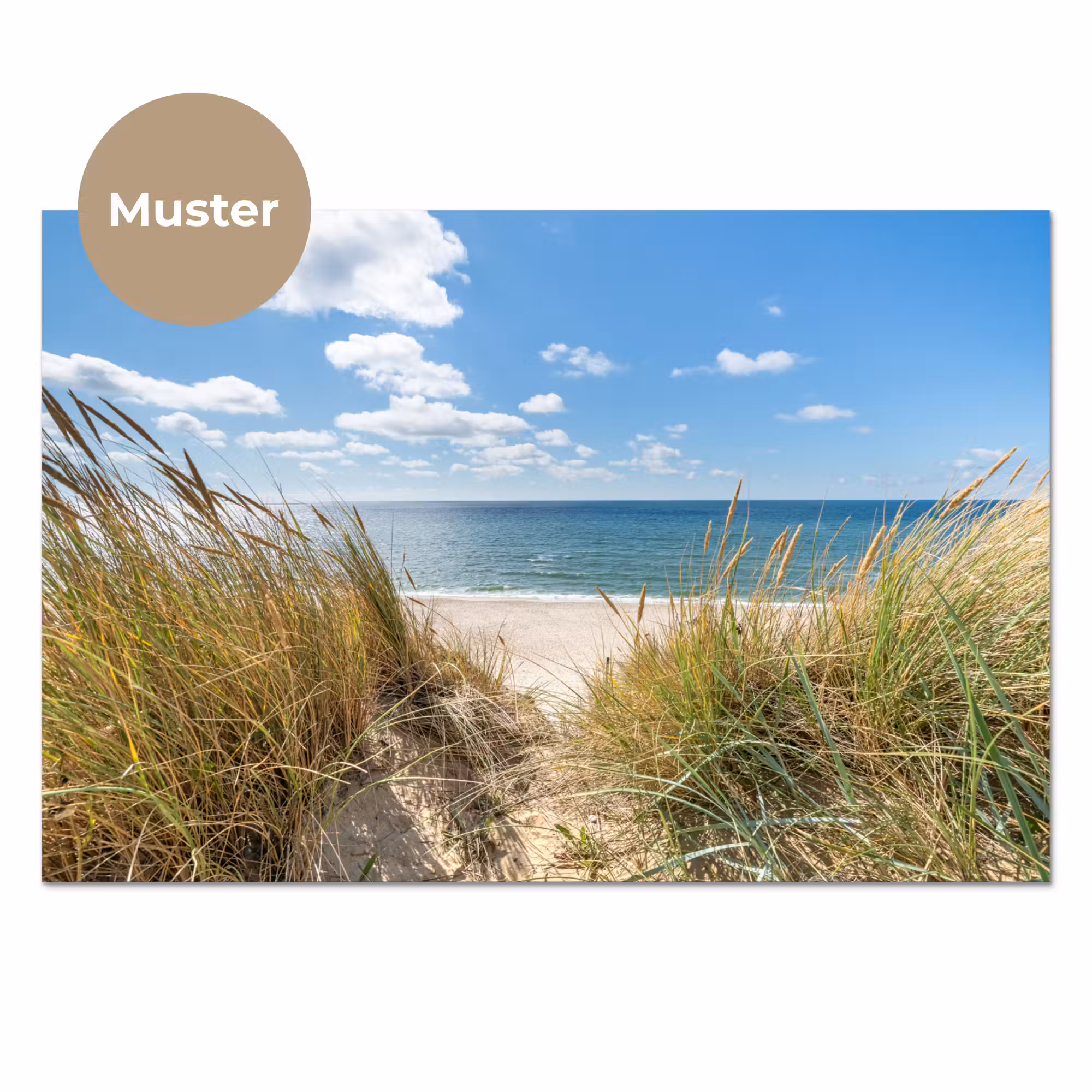 Küchenrückwand - Düne - Gras - Meer - Strand