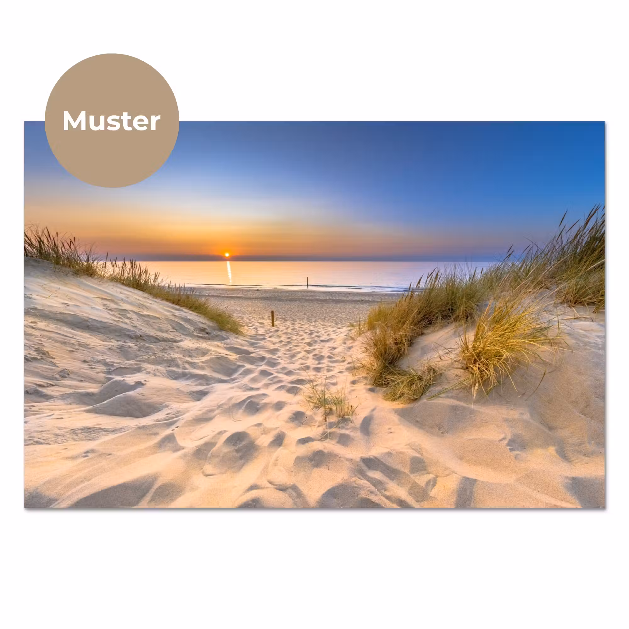 Küchenrückwand - Düne - Sonnenuntergang - Horizont - Strand - Gras
