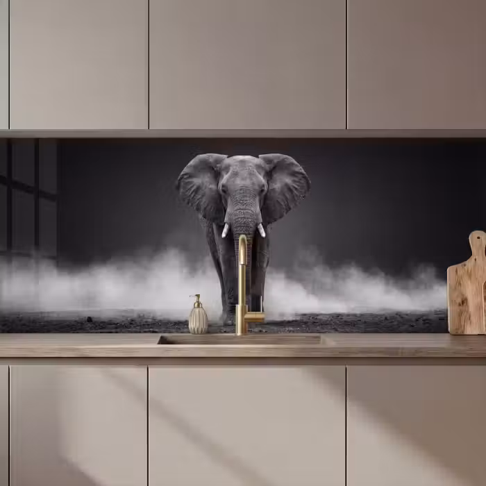 Küchenrückwand - Elefant - Schwarz - Weiß - Rauch