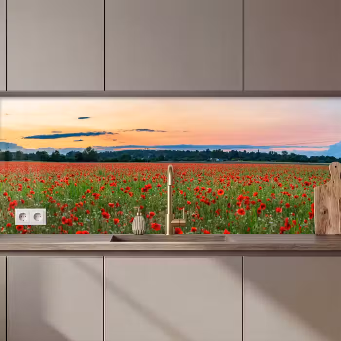 Küchenrückwand - Mohnblumen - Landschaft - Rot - Blumen