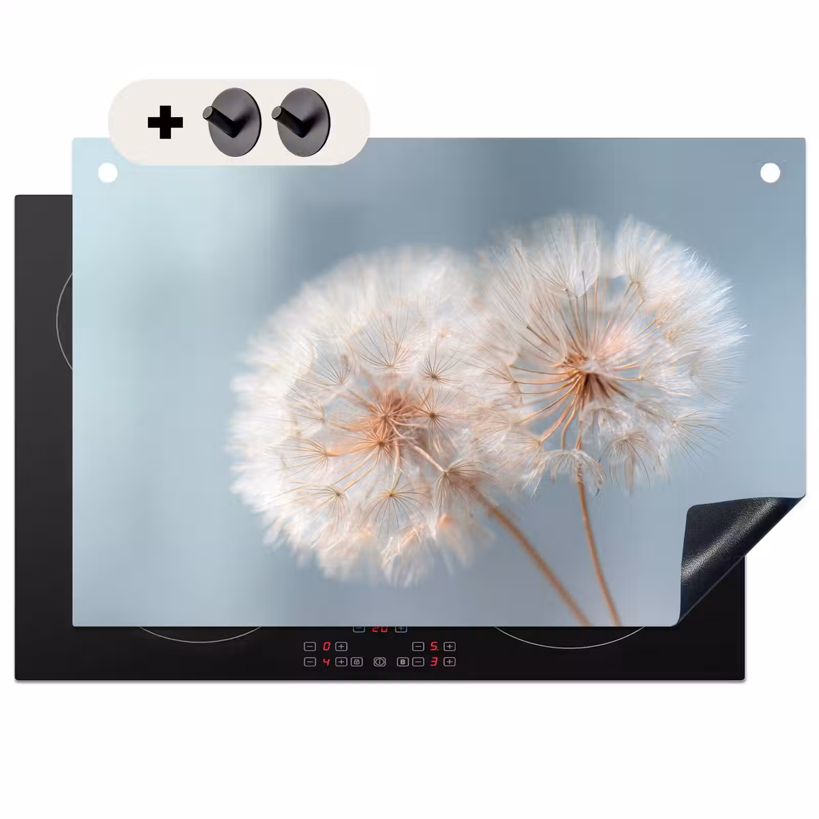 2-in-1 Herdabdeckplatte & Spritzschutz - Pusteblumen - Flauschig - Weiß - Paardenbloemen - Pluisjes - Wit Inductie beschemer met haakjes klein