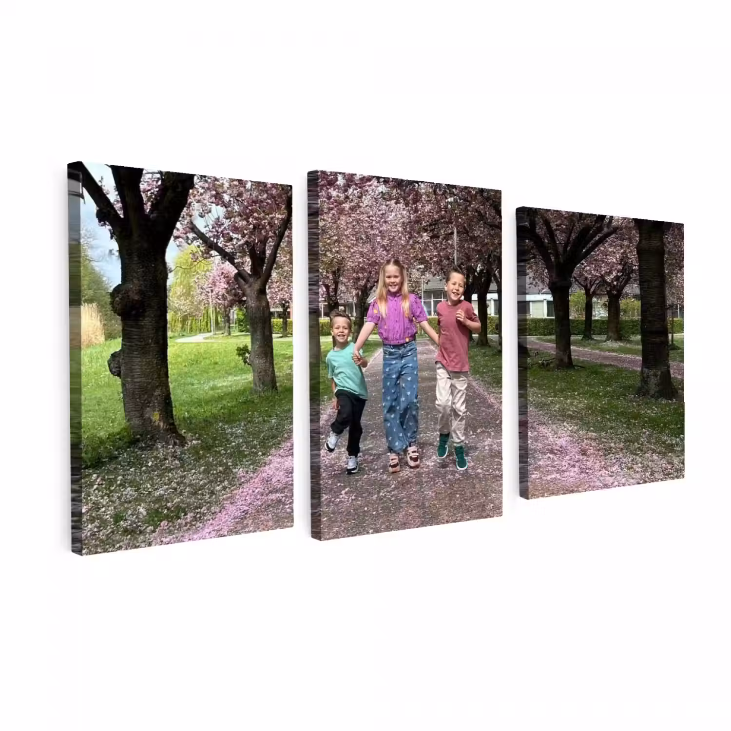 4be9312f-039f-424f-936e-8951bfbd2c09.webp