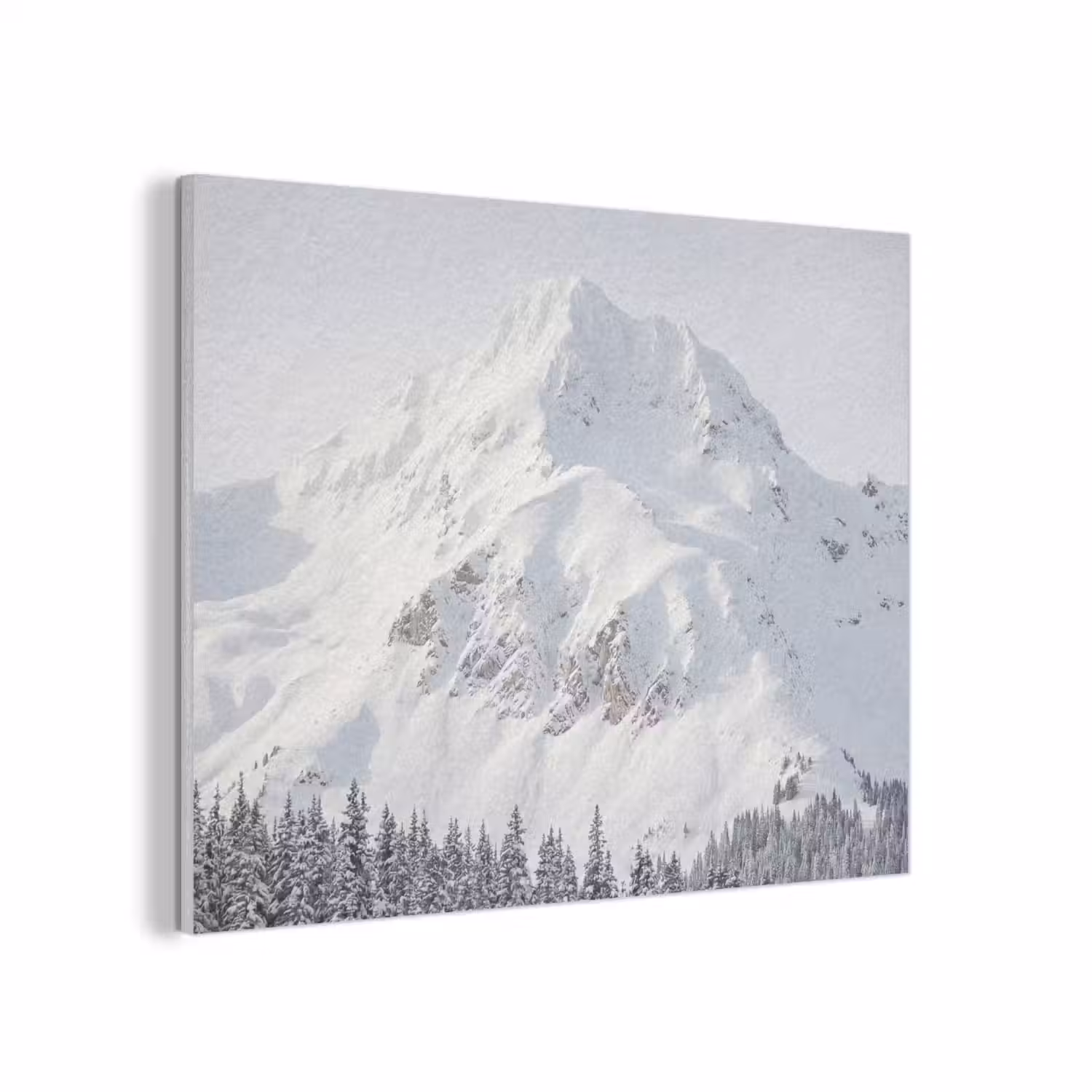 Berg - Sneeuw - Winter - Natuur - Wit PET vilt klein -3d