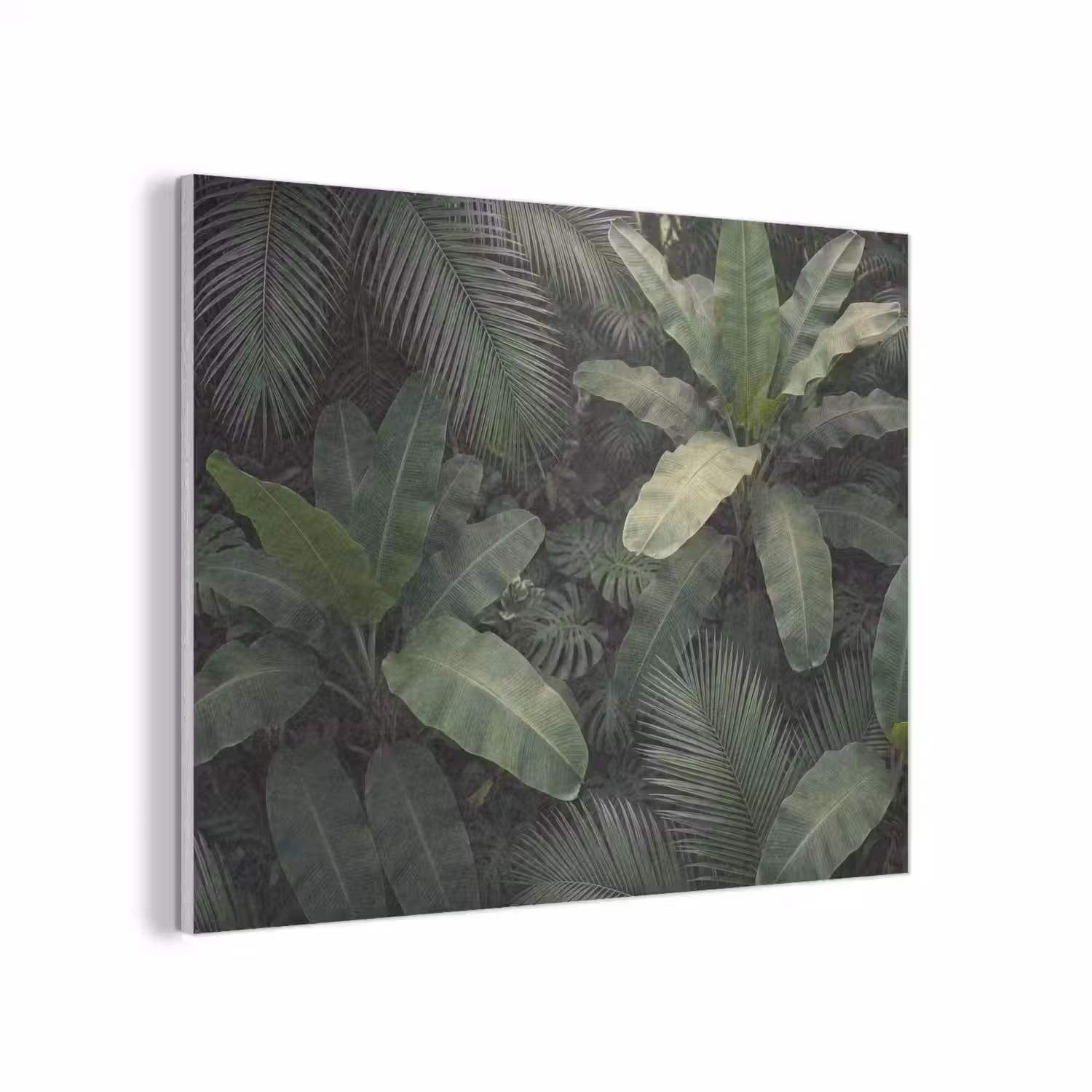 Bladeren - Groen - Tropisch - Natuur PET vilt klein -3d