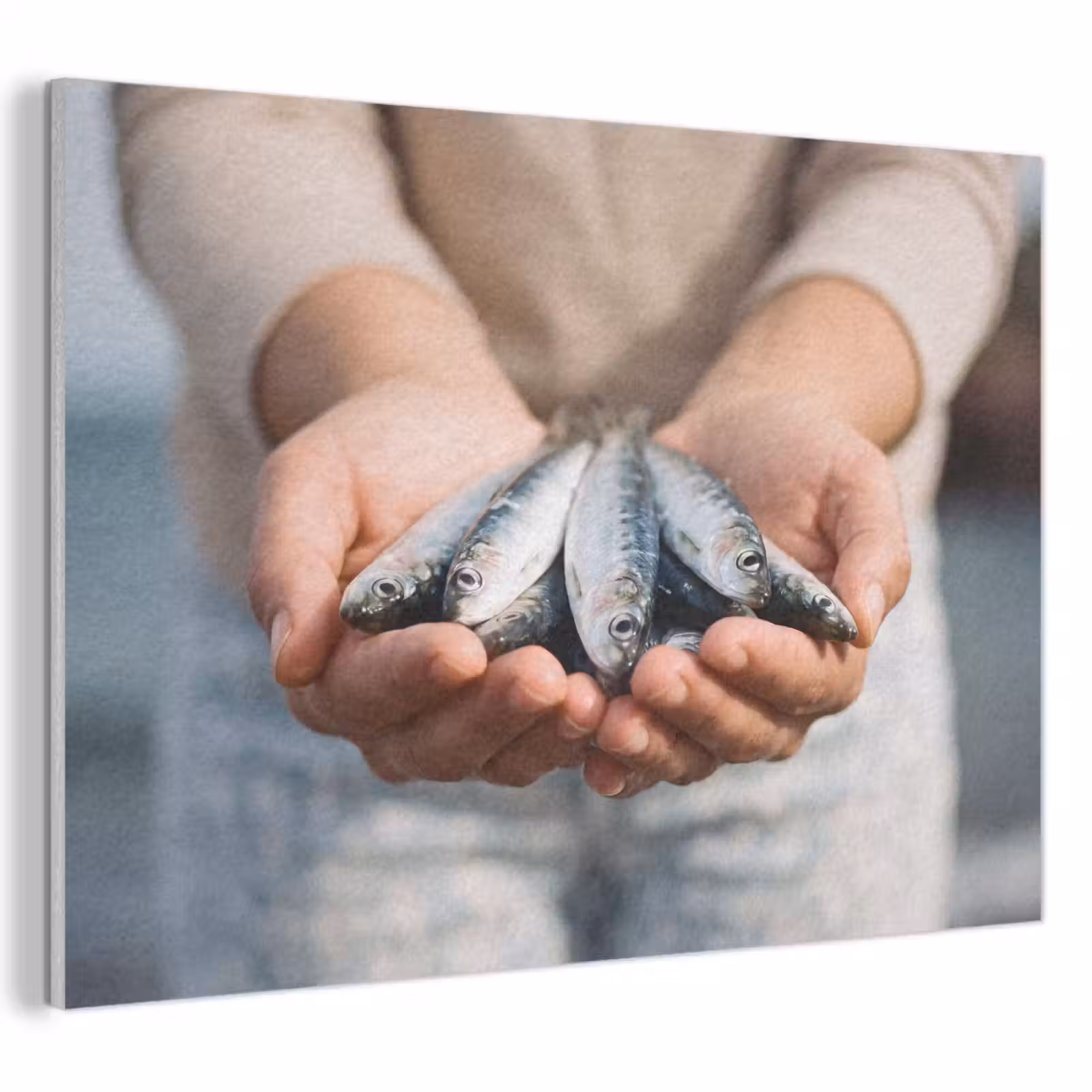 Akustikbild - Fisch – Hände – Natur - Vis - Handen - Natuur PET vilt klein