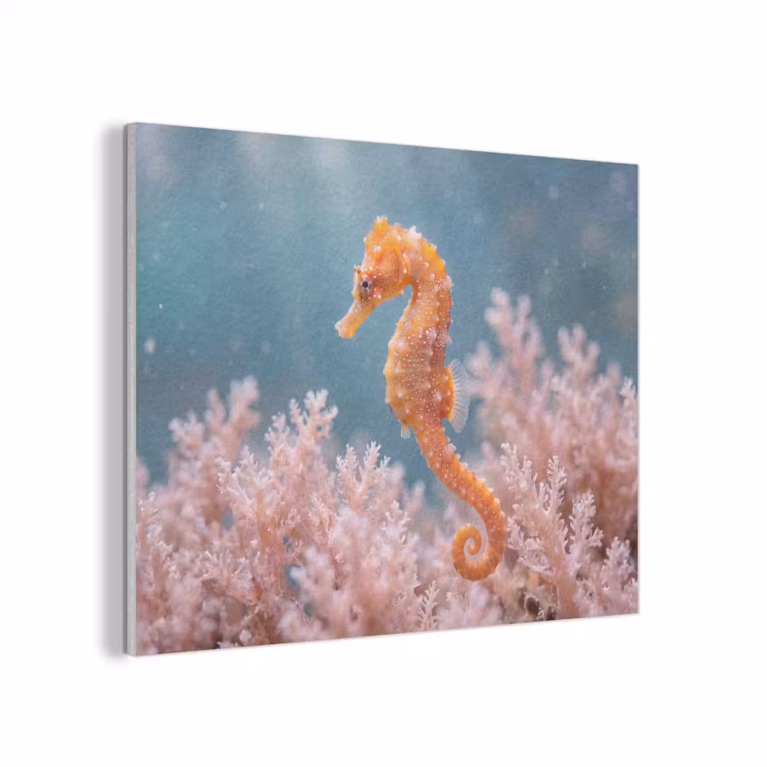 Vis - Koraal - Oceaan - Macro - Oranje PET vilt klein -3d
