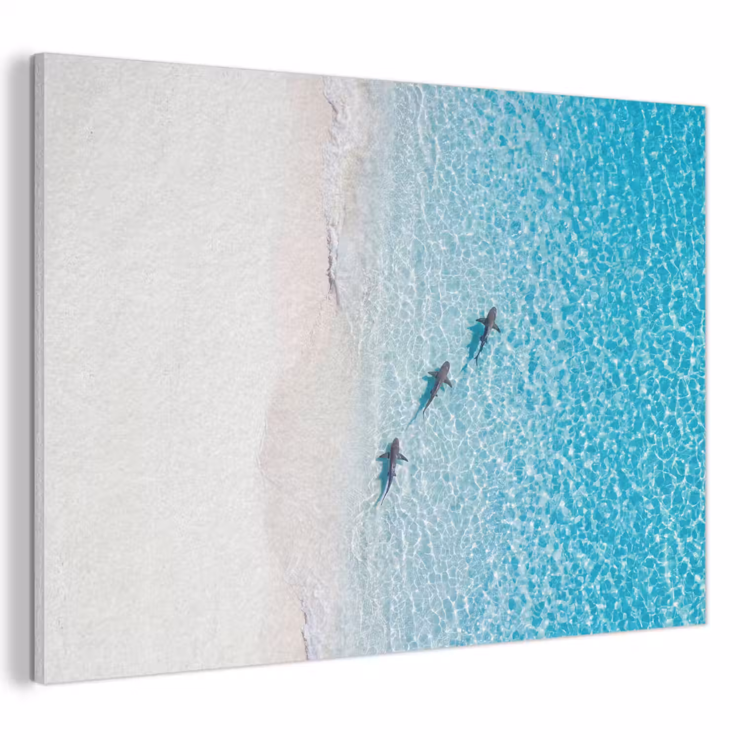 Vis - Oceaan - Strand - Turquoise - Natuur PET vilt klein -3d
