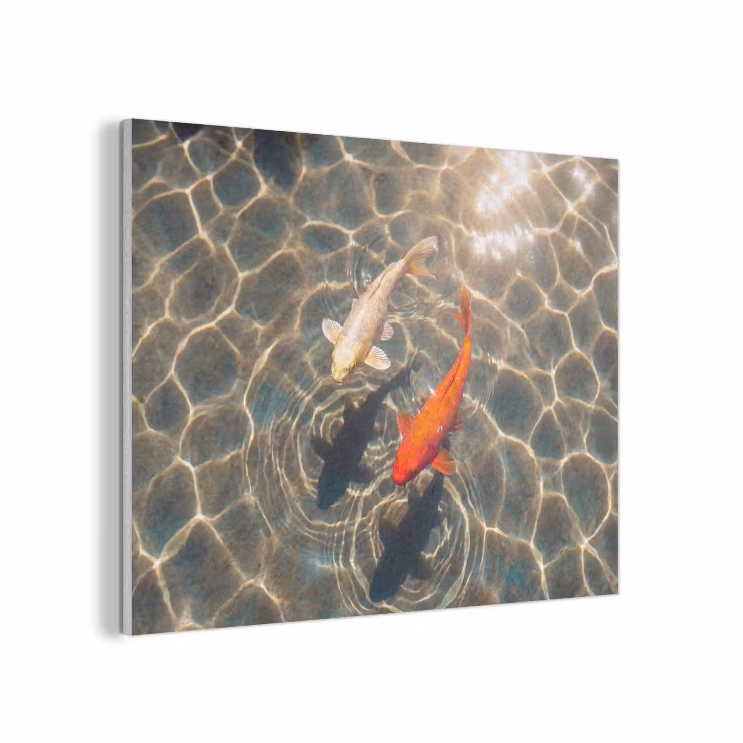 Vis - Water - Dieren - Oranje - Goud PET vilt klein -3d