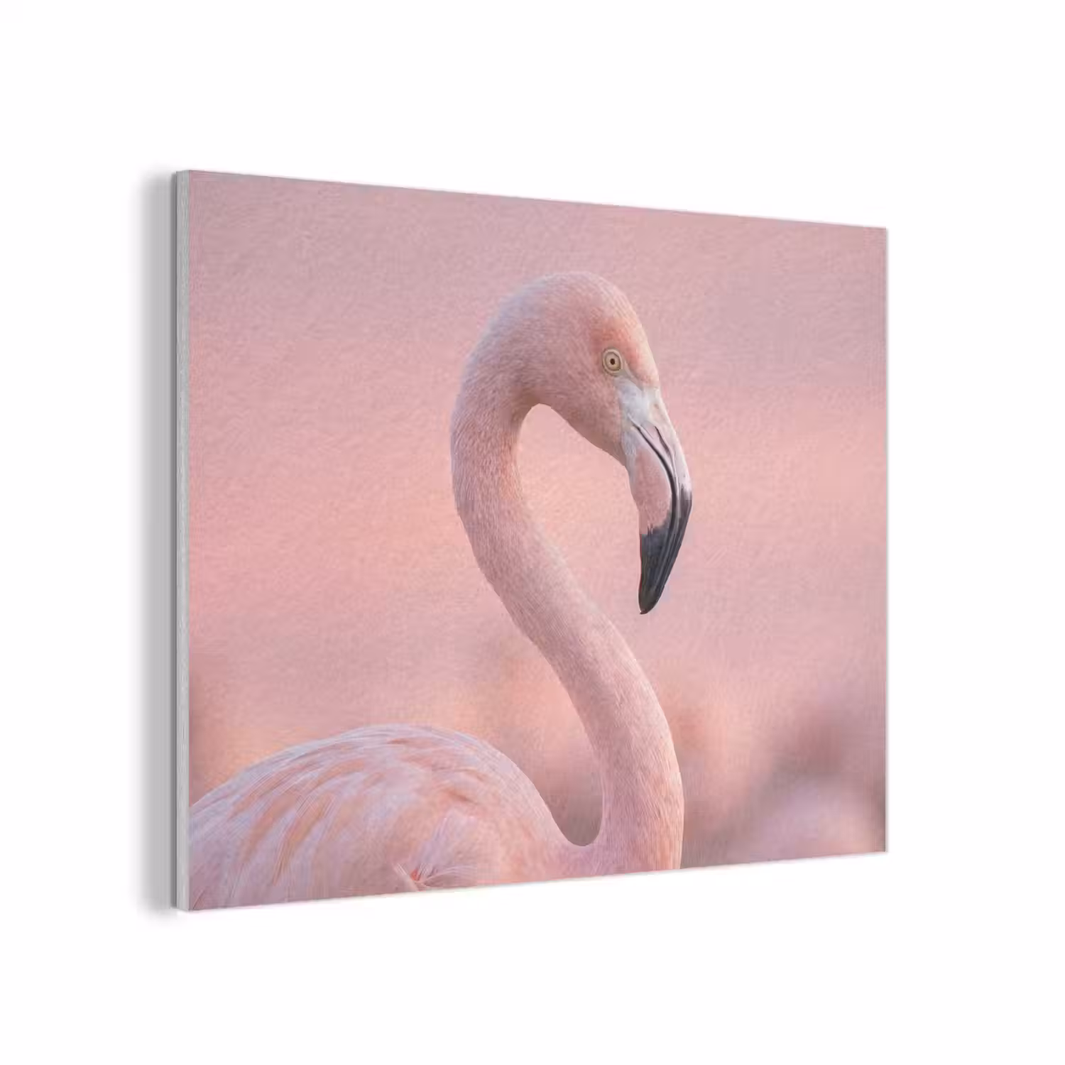 Flamingo - Portret - Roze PET vilt klein -3d