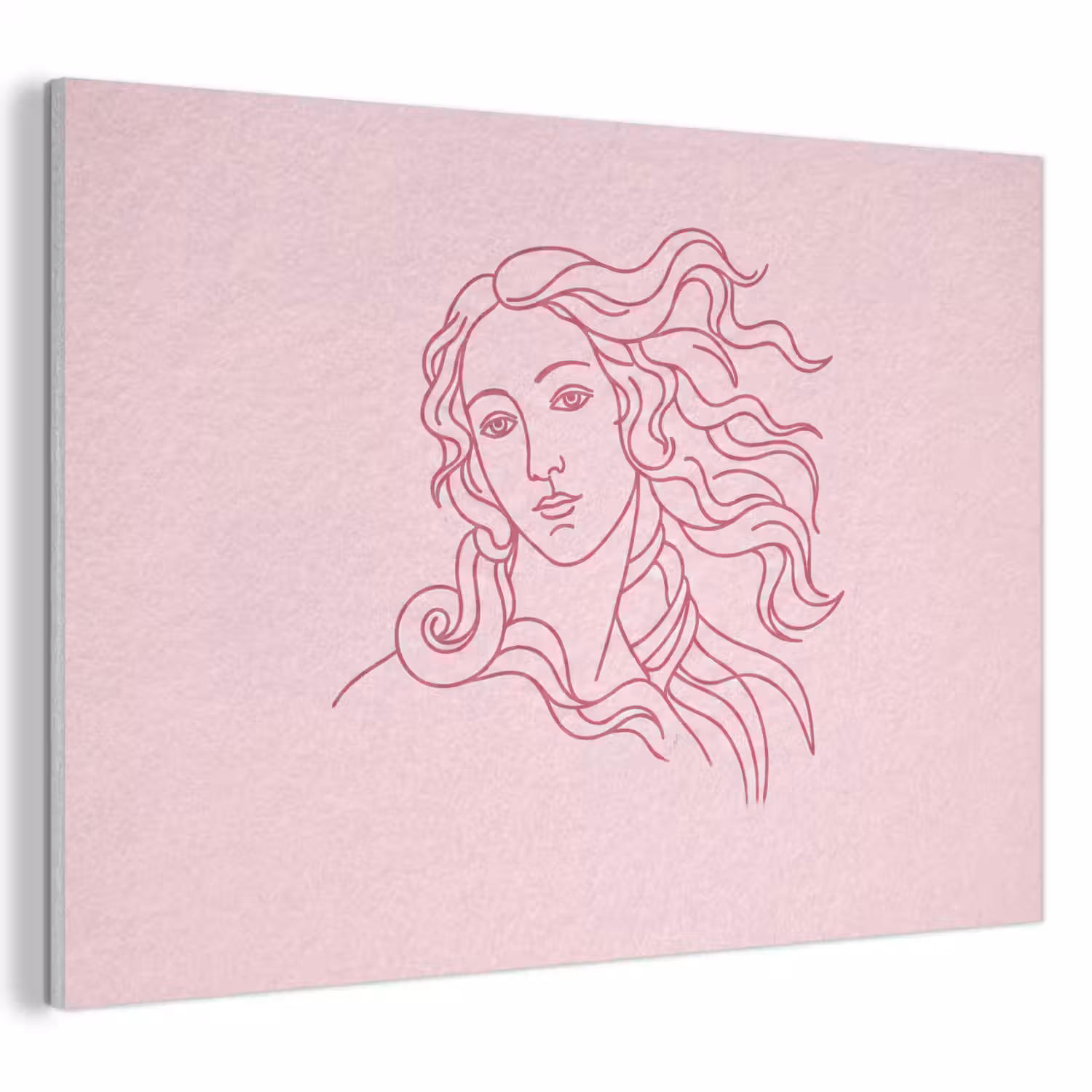 Vrouw - Portret - Klassiek - Line-art - Roze PET vilt klein -3d