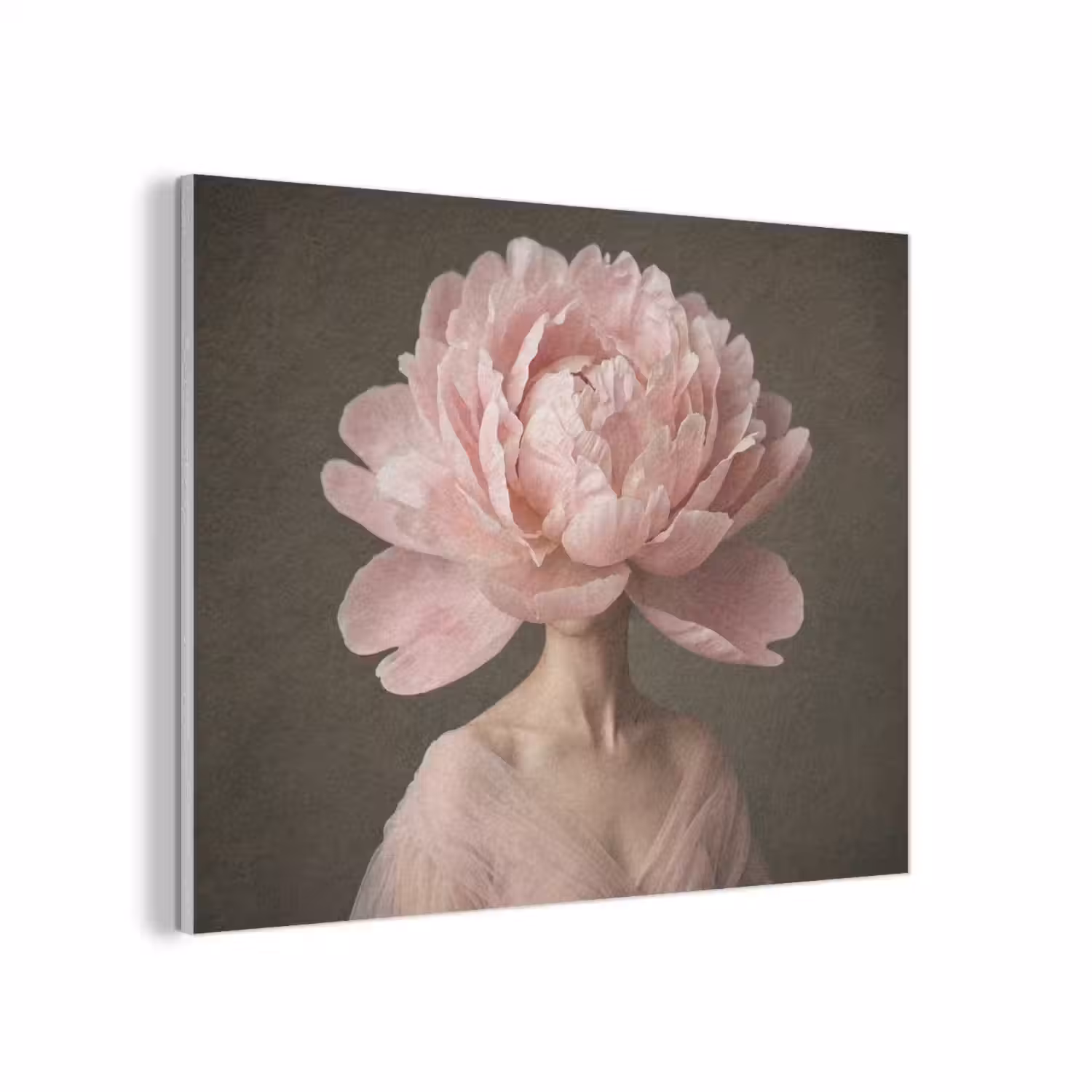 Gezicht - Roos - Roze PET vilt klein -3d